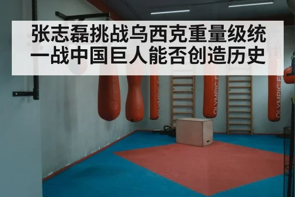 Oleksandr Usyk boxing