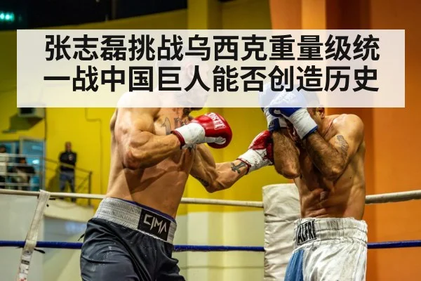 heavyweight boxing match