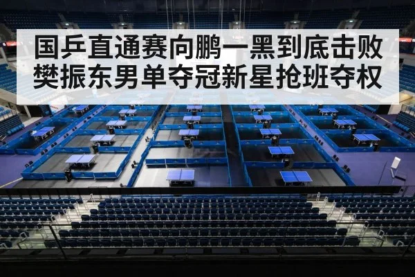 国乒直通赛向鹏一黑到底击败樊振东男单夺冠新星抢班夺权